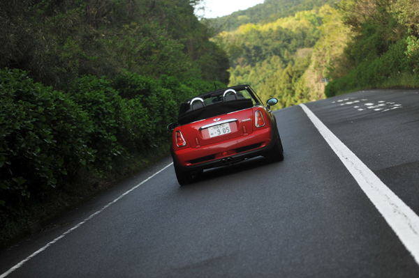 426 550 13 DSC_1217.jpg